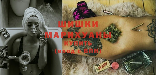 ГАЛЛЮЦИНОГЕННЫЕ ГРИБЫ Бородино