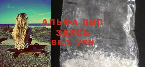 ГАЛЛЮЦИНОГЕННЫЕ ГРИБЫ Бородино