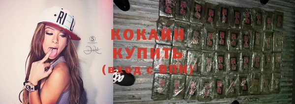 ГАЛЛЮЦИНОГЕННЫЕ ГРИБЫ Бородино